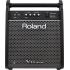 Roland PM-100